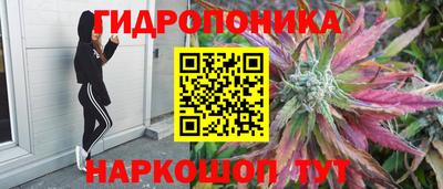 шишки Конаково